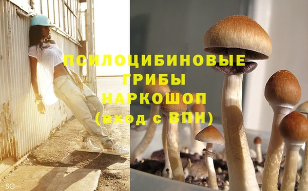 spice Балабаново