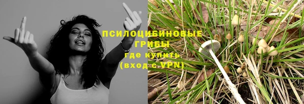 spice Балабаново