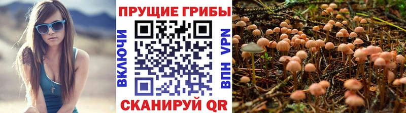 Галлюциногенные грибы прущие грибы  купить наркотик  Лермонтов 